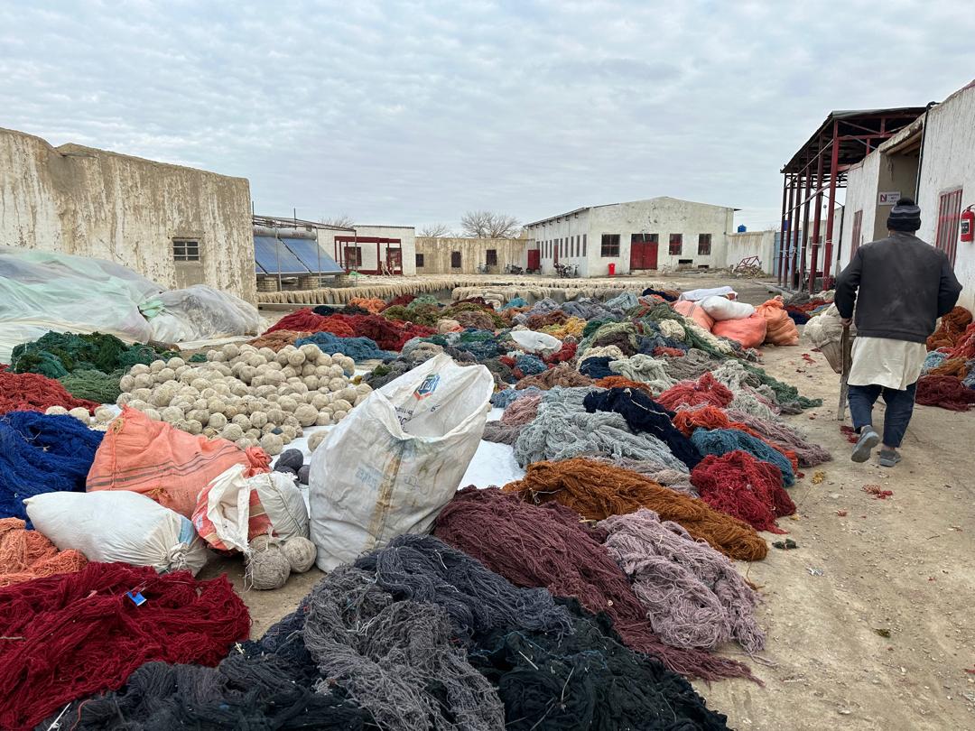 Hand-dyed wool in the workshop yard
